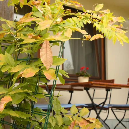 Im Löwengründle Apartamento Unterkirnach