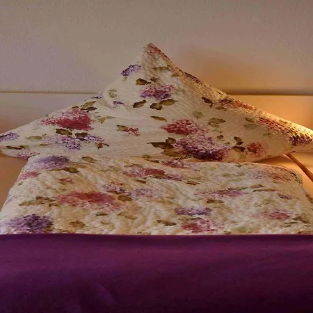 Apartment Im Loewengruendle *